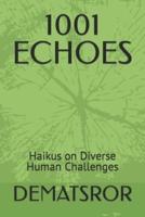 1001 Echoes