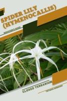 Spider Lily (Hymenocallis)