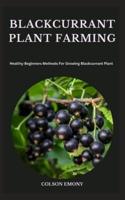 Blackcurrant Plant Farming