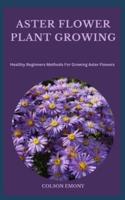 Aster Flower Plant Growing