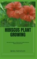 Hibiscus Plant Growing