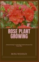 Rose Plant Growing