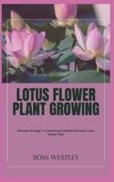 Lotus Flower Plant Growing