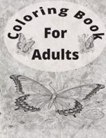 Coloring Book for Adults 50 Picture Outline Animals Forest Fairy Butterflies