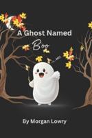 A Ghost Named Boo