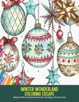 Winter Wonderland Coloring Escape