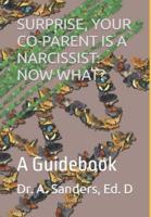 Surprise, Your Co-Parent Is a Narcissist