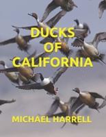 Ducks of California