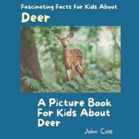 A Picture for Kids About Deer