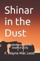 Shinar in the Dust