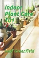 Indoor Plant Care 101