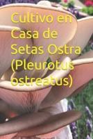 Cultivo En Casa De Setas Ostra (Pleurotus Ostreatus)