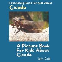 A Picture Book for Kids About Cicada