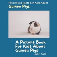 A Picture Book for Kids About Guinea Pigs
