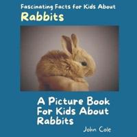 A Picture Book for Kids About Rabbits