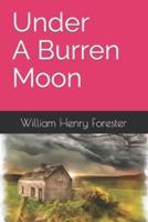 Under a Burren Moon
