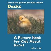 A Picture Book for Kids About Ducks