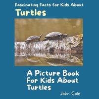 A Picture Book for Kids About Turtles