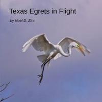 Texas Egrets in Flight