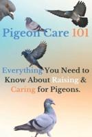Pigeon Care 101