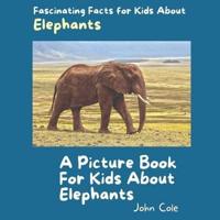 A Picture Book for Kids About Elephants