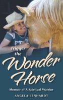 Trigger the Wonder Horse