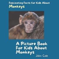 A Picture Book for Kids About Monkeys