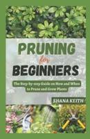 Pruning for Beginners