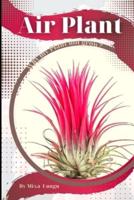 Air Plant