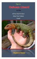 Tips to Caiman Lizard as Pet