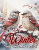 Winter Color By Number Adult Coloring Book