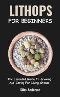 Lithops for Beginners
