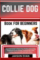 Collie Dog Book for Beginners