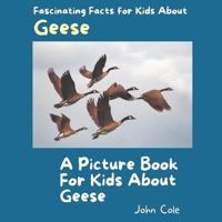 A Picture Book for Kids About Geese