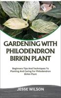 Gardening With Philodendron Birkin Plant
