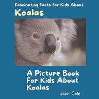 A Picture Book for Kids About Koalas