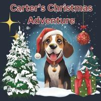 Carter's Christmas Adventure