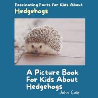 A Picture Book for Kids About Hedgehogs