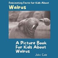 A Picture Book for Kids About Walrus