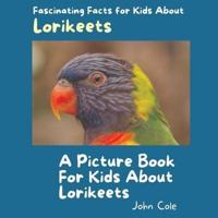 A Picture Book for Kids About Lorikeets