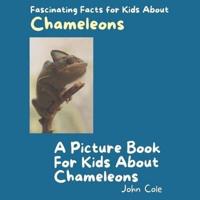 A Picture Book for Kids About Chameleons