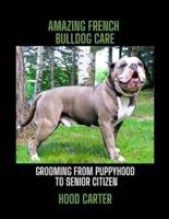 Amazing French Bulldog Care