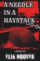 A Needle In A Haystack
