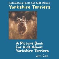 A Picture Book for Kids About Yorkshire Terriers