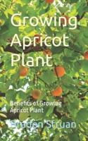 Growing Apricot Plant