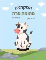 הסקרנים מהומה פרה The Curious Cow Commotion (Hebrew)