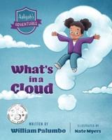 What's in a Cloud?