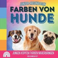 Junior-Regenbogen, Farben Von Hunde