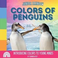 Junior Rainbow, Colors of Penguins