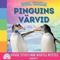 Noorem Vikerkaar, Pinguins Värvid